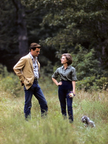 Picture of Natalie Wood