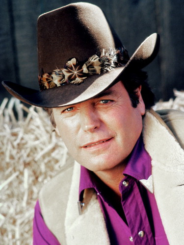 Picture of Robert Wagner