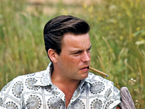 Picture of Robert Wagner