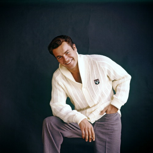Picture of Robert Wagner