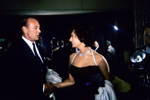 Picture of Sophia Loren