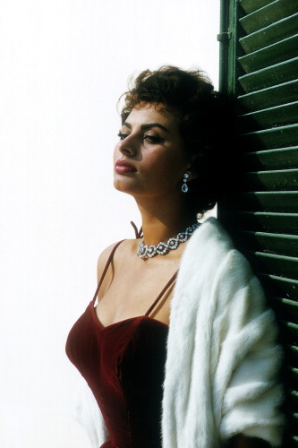 Picture of Sophia Loren