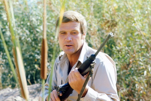 Picture of Lee Majors