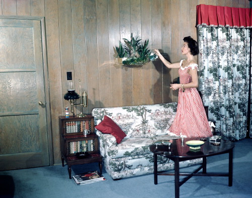 Picture of Ava Gardner