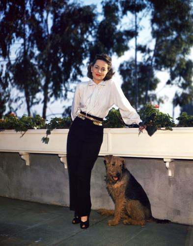 Picture of Yvonne De Carlo