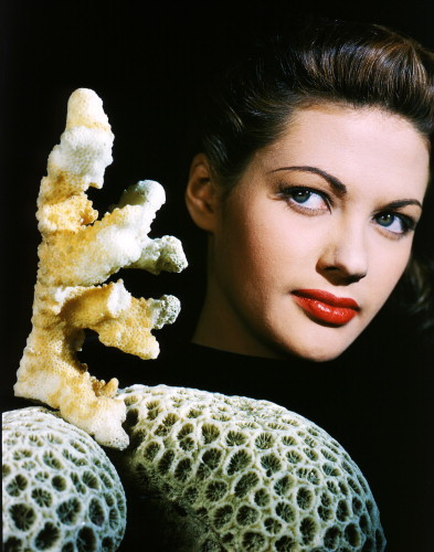 Picture of Yvonne De Carlo