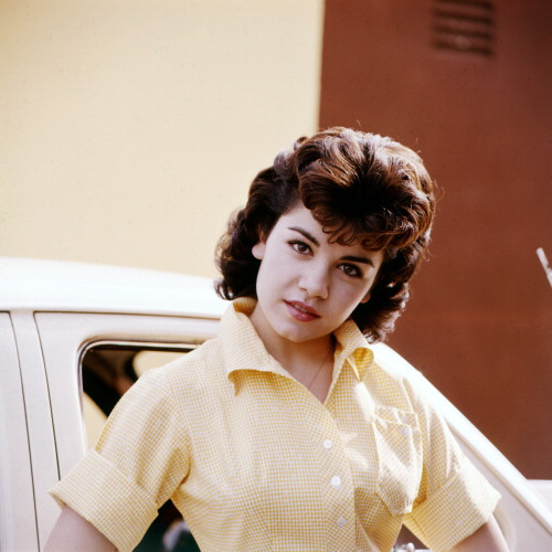 Picture of Annette Funicello