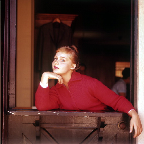 Picture of Carol Lynley