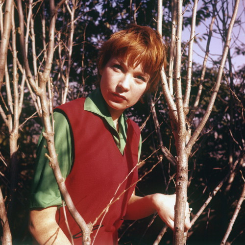 Picture of Shirley MacLaine