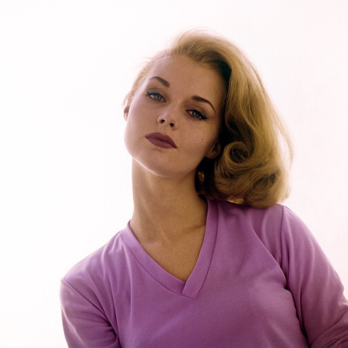 Picture of Carol Lynley