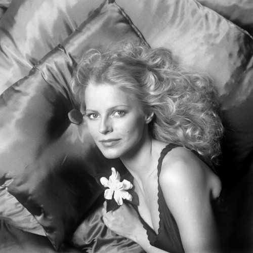 Picture of Cheryl Ladd