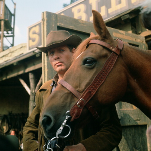 Picture of The Prisoner