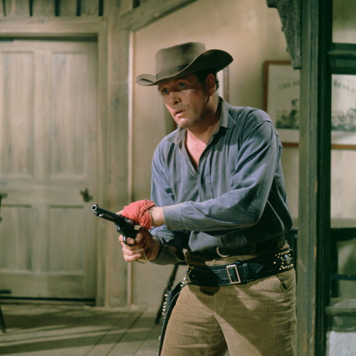 Picture of The Prisoner