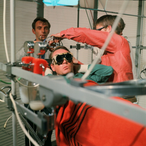 Picture of The Prisoner