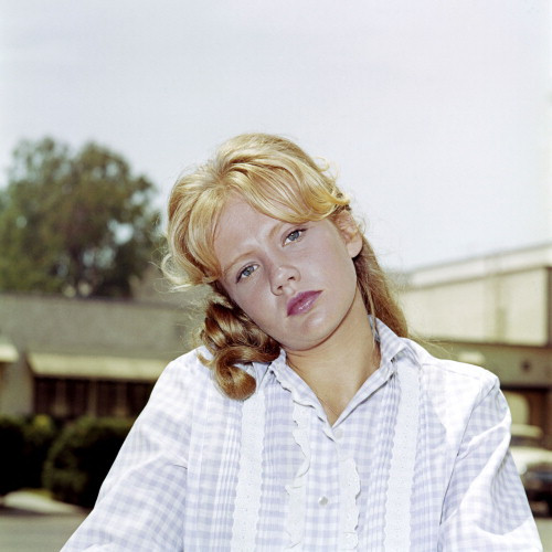 Picture of Hayley Mills