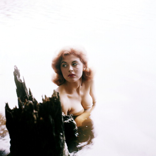 Picture of Tina Louise