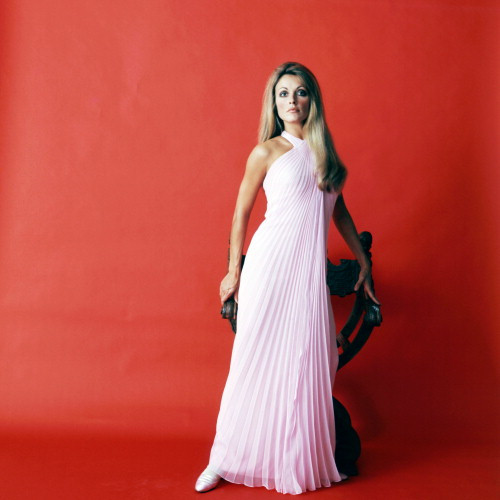 Picture of Sharon Tate