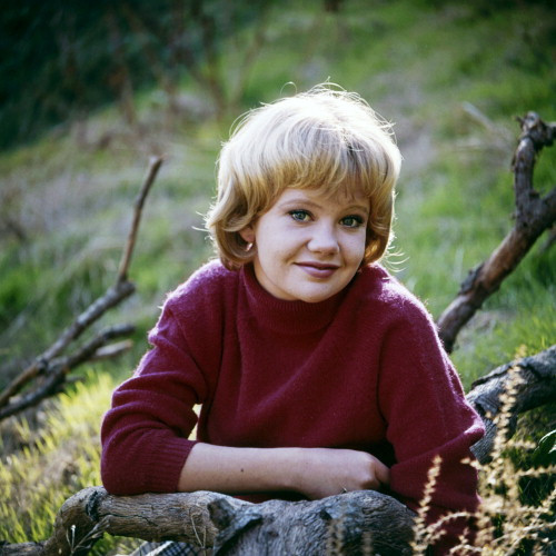 Picture of Hayley Mills
