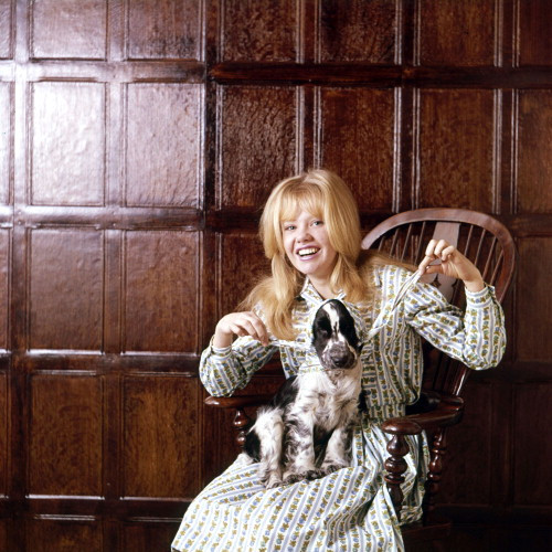 Picture of Hayley Mills