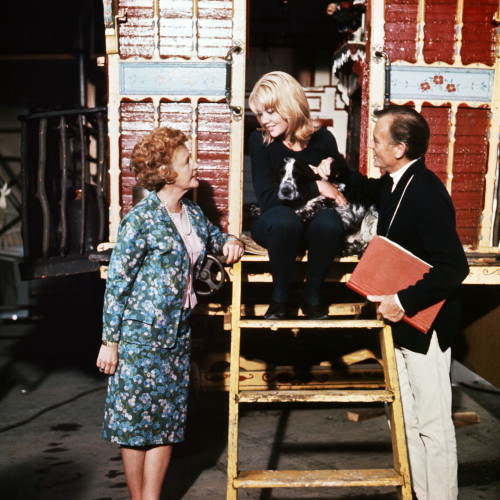 Picture of Hayley Mills