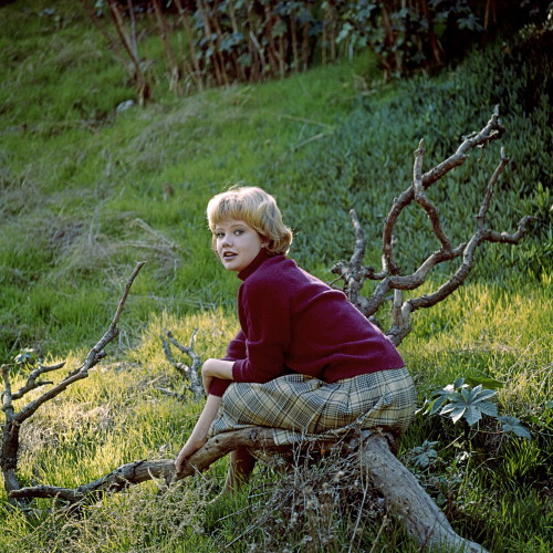 Picture of Hayley Mills