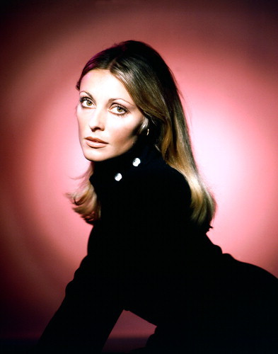 Picture of Sharon Tate