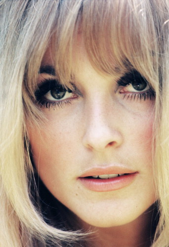 Picture of Sharon Tate