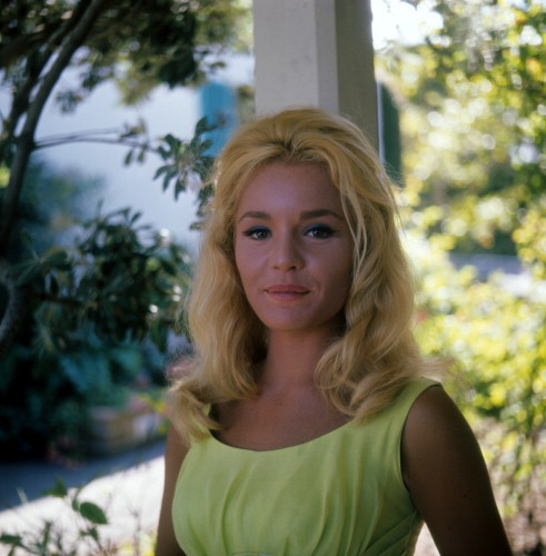 Picture of Tuesday Weld