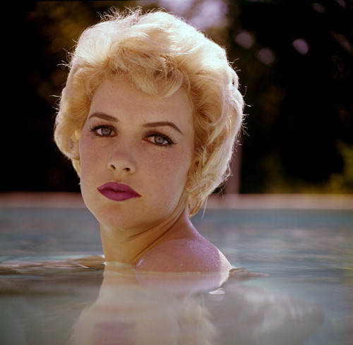 Picture of Stella Stevens