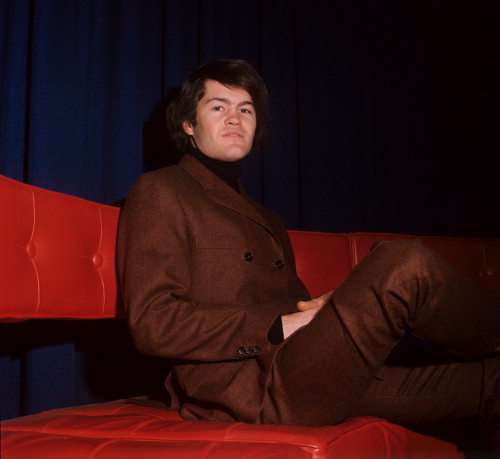 Picture of The Monkees