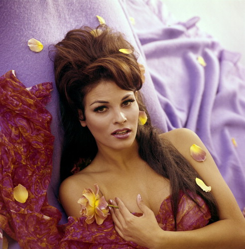 Picture of Raquel Welch