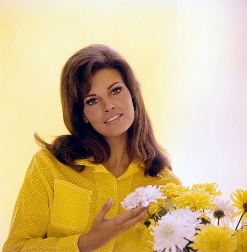 Picture of Raquel Welch