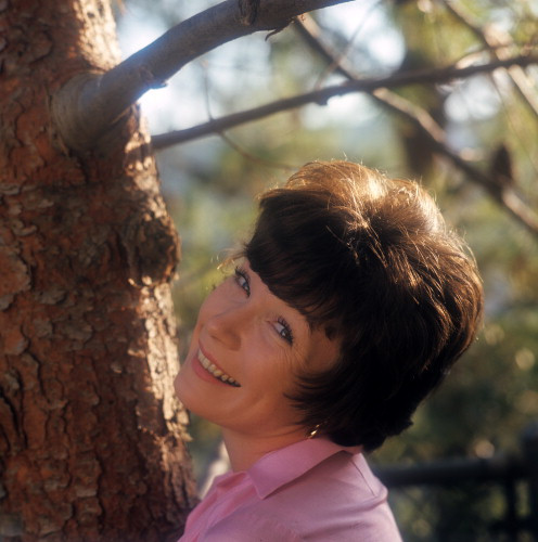 Picture of Shirley MacLaine