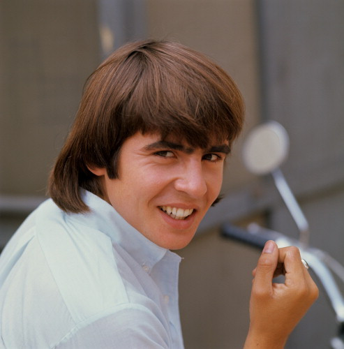 Picture of The Monkees
