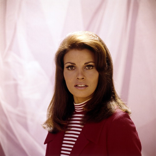 Picture of Raquel Welch