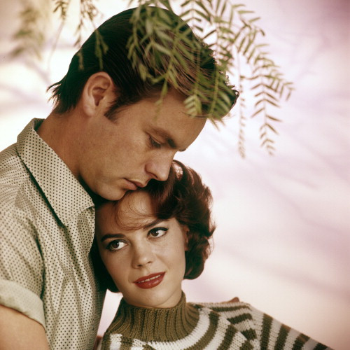 Picture of Natalie Wood