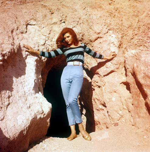 Picture of Tina Louise