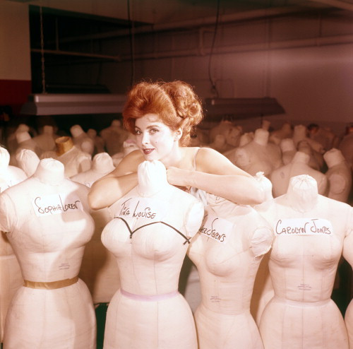 Picture of Tina Louise