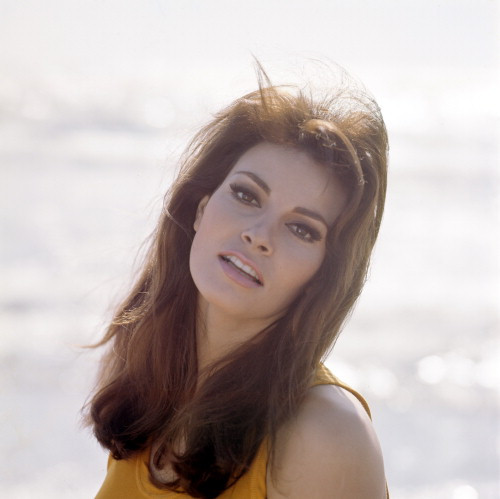 Picture of Raquel Welch
