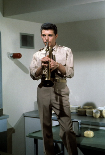 Picture of Frankie Avalon
