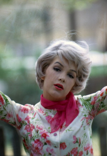 Picture of Stella Stevens