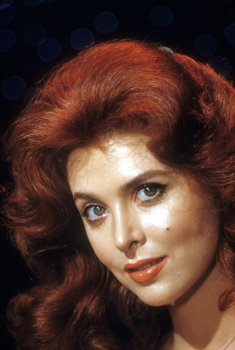 Picture of Tina Louise
