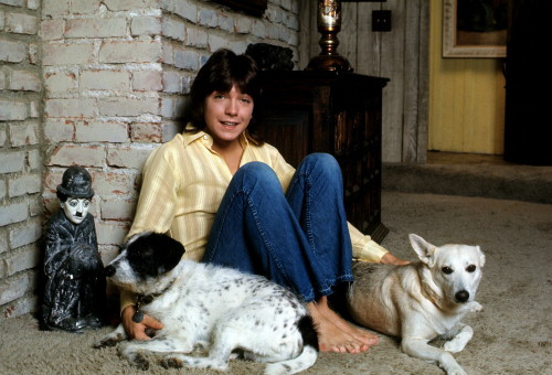 Picture of David Cassidy