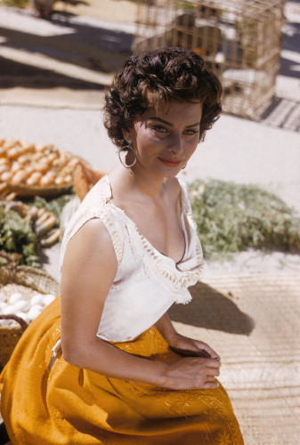 Picture of Sophia Loren