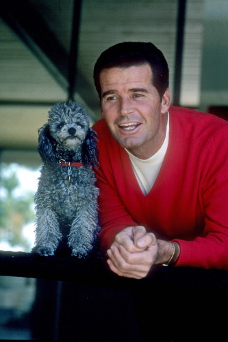 Picture of James Garner