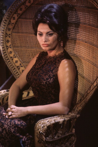 Picture of Sophia Loren