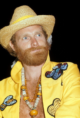 Picture of The Beach Boys