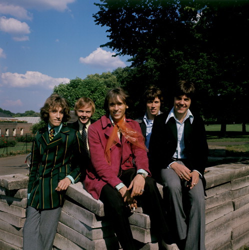 Picture of The Bee Gees