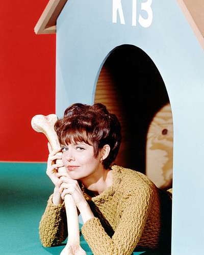 Picture of Barbara Feldon