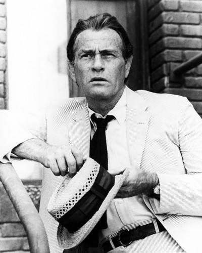 Picture of Darren McGavin in Kolchak: The Night Stalker